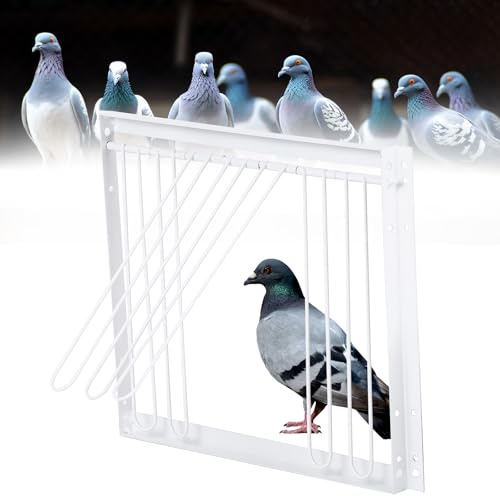 MOGOULUA T-Trap - Porta d'ingresso per animali domestici, usa e getta, per piccione da corsa, piccione, porta d'ingresso in ferro, pappagallo, accessorio per l'allevamento di uccelli, 33 x 26 cm