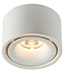 Faretto da soffitto moderno, lampada da soffitto della pannocchia, dimmerabile, custodia in alluminio, downlight da 12W su superficie, illuminazione dell'impianto della galleria, riflettori del soffit