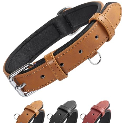 Grand Line Collar de Perro de Cuero, Collare Ancho y Grueso con Suave Acolchado，Collare de Perro en Piel Ajustables Resistentes para Perros Pequeños, Medianos, Grandes (Marrón, XS)