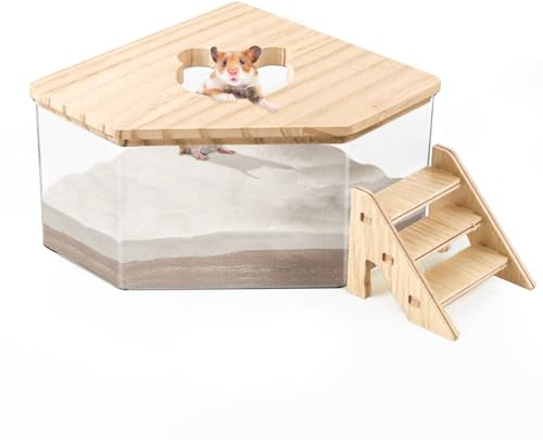 Quxddy Hamster Sand Bath Box Container, Hamster Bath Sand Gerbil Sand Bath Hamster Dust Bath, Hamster Litter Box Chinchilla Dust Bath Hamster Accessories(Pentagon+Ladder) (Pentagon+Ladder)