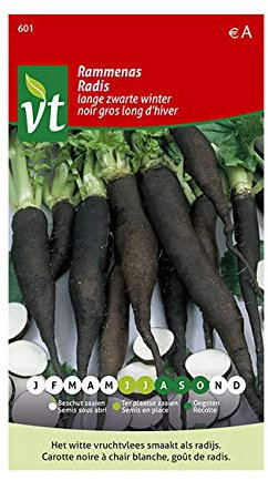 Rábano negro largo de invierno - Semillas - Forma una zanahoria larga y negra con carne blanca