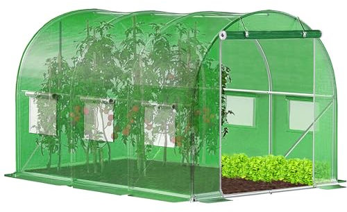 Gewächshaus Klein Foliengewächshaus - Tomatenhaus mit robuster Gewächshaus Folie | Balkon Gewächshaus Winterfest | Folientunnel Tomatengewächshaus Greenhouse für Garten