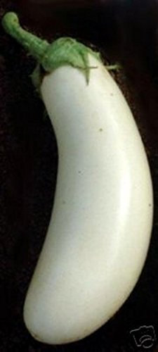 10 Heirloom „Casper“ Auberginen-Samen Garten Gemüse