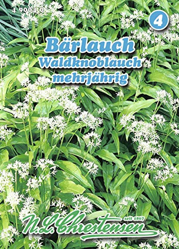 N.L. Chrestensen 490040 Bärlauch Waldknoblauch (Bärlauchsamen)
