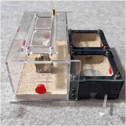 Ameisenzuchtkasten, Ameisenfarm, unbegrenzte Erweiterung, Acryl, Ameisenfarm, Beton, Ameisennest, Ameisenhaus, Königin, Brutbereich, Haustier-Ameisenhaufen, Schloss, Werkstatt, Insektenbox,