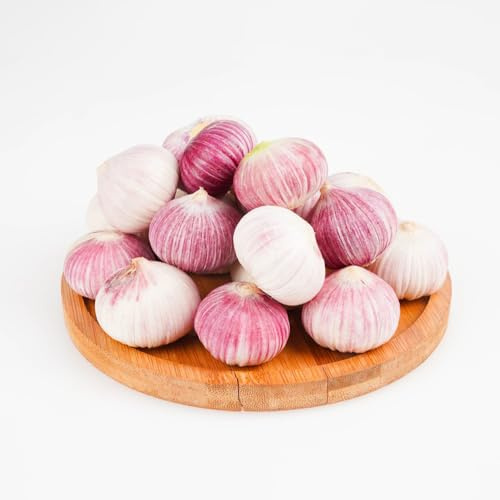semillas de ajo ajo de invierno perennes resistentes semillas variedades tradicionales bonsái interior balcón resistentes, al invierno 400pcs