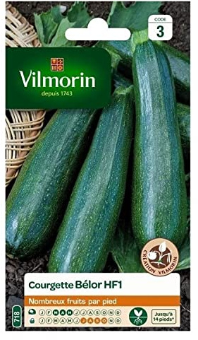 Courgette Bélor HF1 - Graines d'Exception