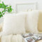 ZTYROLJ Lot de 2 Housse de Coussin en Fourrure 65x65 cm,Taie d'oreiller Ultra Douce avec Fermeture Eclair Cachée, Décoration Housse Coussin canapé Canape Salon Chambre