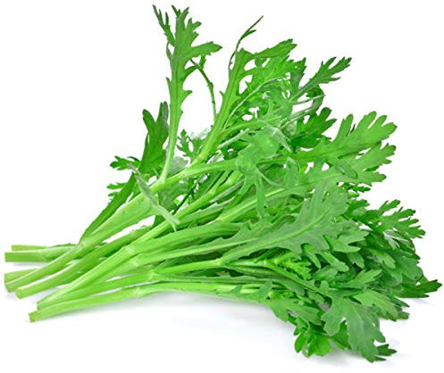 Welldales 50 Super Green Chopsuey Seeds Grow Leafy Vegetables UK Harvest for Planting