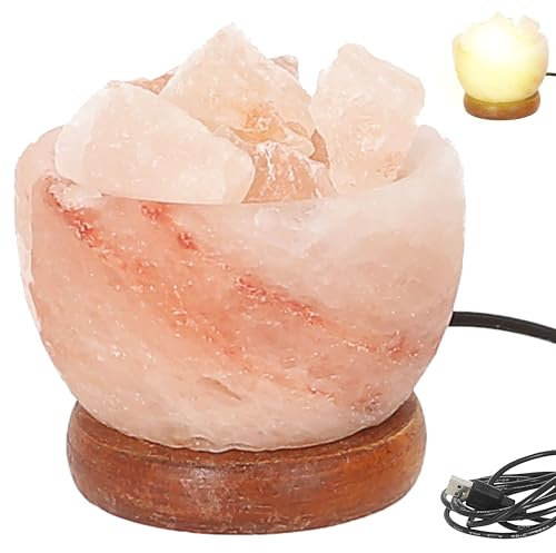 Cepewa LED Salzkristallleuchte | Ø9cm USB-A Kabel MDF | Salz 'Salt Range Pakistan' | Salzschale mit Salzsteine auf Holzsockel (Salzkristalllampe Schale)
