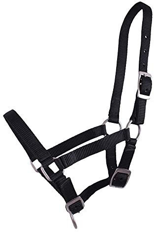 QHP Nylonhalfter Fohlen-Halfter 3fach Verstellbar Stark (Shetty-Fohlen, Schwarz)