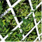 Suinga CELOSIA PVC blanco 100 x 200 cm para jardín. Seto artificial extensible