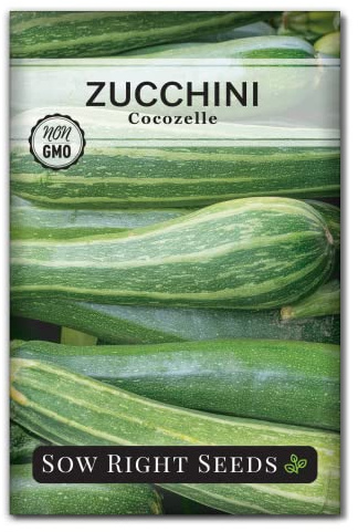 Sow Right Seeds - Cocozelle Zucchini Seeds for Planting - Non-GMO Heirloom Packet with Instructions to Plant and Grow an Outdoor Home Vegetable Garden - Vigorous Productive Striped Squash (1)