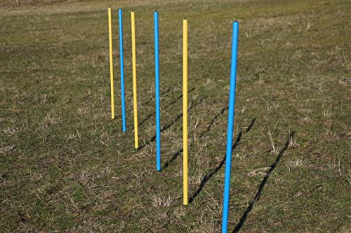 Wuzzmann Agility-övning slalom-set, flexibla runda stänger blå/gul (6)