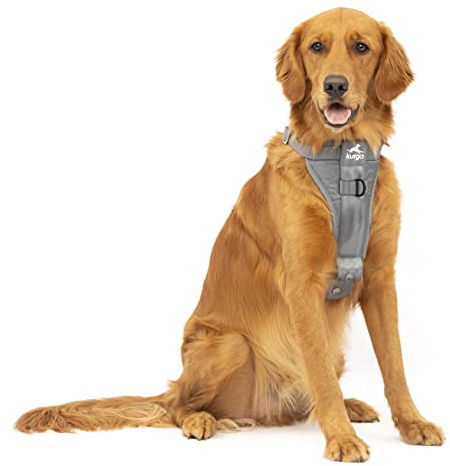 Kurgo TRU-Fit Autosicherheitsgeschirr für Hunde, Mit gepolstertem Brustteil und D-Ring, Mit Autogurt, Größe XL, Grau