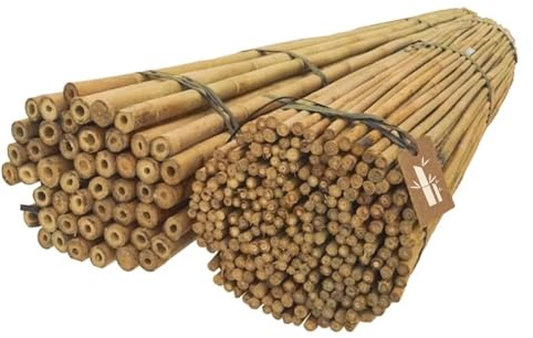 Dixiestore Bambusstangen | Bambusstangen Set Blumenstützen | Robuste Pflanzstäbe aus Bambus 120 cm x 12-14 mm, 25 Stück, Breiter Einsatz, Pflanzenstütze, natürliche Farbe