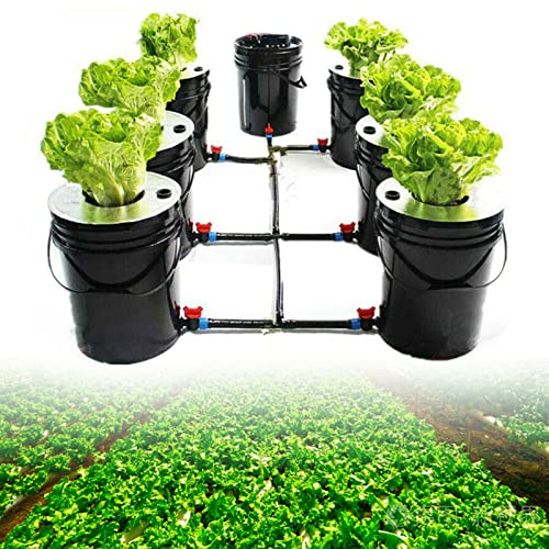 Jolre Hydroponische DWC Growing System Kit, Indoor Hydroponic Growing System, Home and Kitchen Hydroponic Growing System mit 20L Eimer.