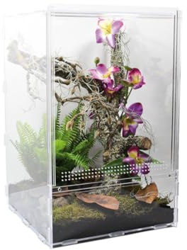 Lucky Reptile LifeTarrium, Größe:30 x 30 x 45 cm