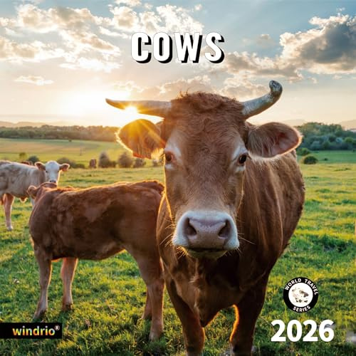 2026 Wall Calendar,Calendar 2026, November 2025 - December 2026, Wall Calendar Cows, 12 x 24 Opened,Full Page Months Thick & Sturdy Paper for Calendar Organizing & Planning