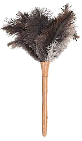 Plumeau en plumes d'autruche naturelles et duveteuses avec manche en bois