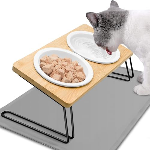 Otauoaea Katzennapf Erhöht - 2er Set Futternapf Katze aus Keramik - 15° gekippte Futterstation Katzen Napfset Hundenapf mit Napfunterlage Silikon - Fressnapf und Wassernapf für Katzen und Kleine Hunde