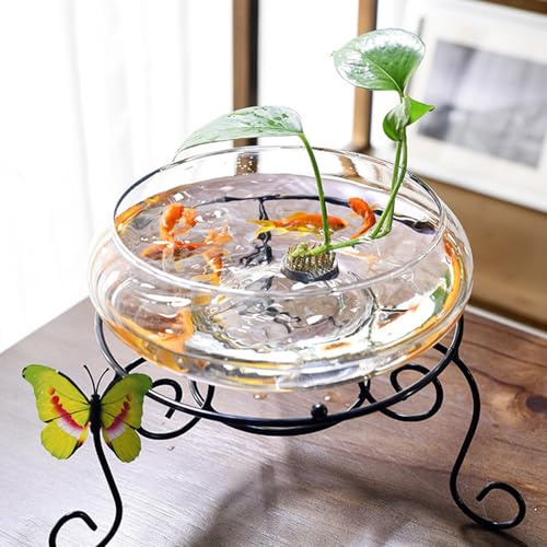 Tadoiooy Plantera de Loto de Loto, Cuenco de Flores de Loto de 6 Pulgadas, tazón de Lirio de Agua Transparente, tazón de Vidrio Decorativo para Flores suculenta Planta hidropónica de Pescado
