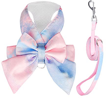 PETCARE Set di imbracatura e guinzaglio per cani con papillon carino, elegante imbracatura per cuccioli gradiente arcobaleno tira morbida maglia animale domestico gatto cane imbracature per cani e