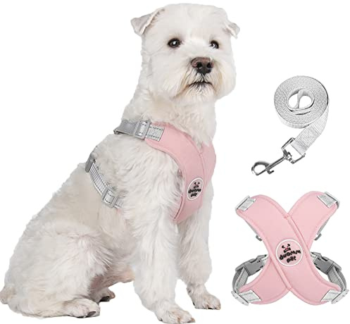 FEimaX Pettorina per Cani di Piccola e Media Taglia con Guinzaglio, Imbracatura Cane Riflettente Regolabile con Morbida Imbottito Imbracature Cuccioli Antifuga per Passeggiate Corsa