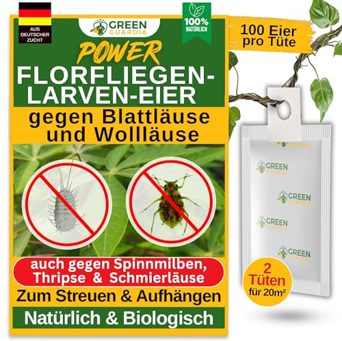 GREEN GUARDIA Power – Uova contro afidi e pidocchi – 2 sacchetti – Agente biologico per efficace lotta contro afidi e pidocchi di lana per piante d'appartamento e ornamentali UVM.