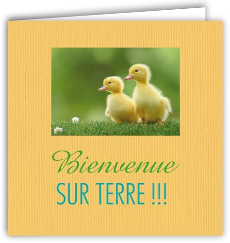 MOTS-006 Carte NAISSANCE BÉBÉ FÉLICITATIONS Bienvenue sur Terre Poussin Caneton Avec Enveloppe Carré Format 15x15cm - Citation Illustrée Photo d Art Collection Mots en image -édition française