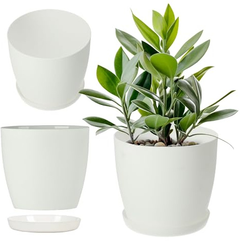 KADAX Växtkruka med fat – blomkruka av matt plast, rund för kaktus, ormbunkar, glänsande för balkong, lägenhet och terrass, Ø 14 cm (vit)