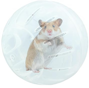 Ruota da Corsa per Criceti e Piccoli Animali - Palline per Esercizi Sicuri con Orso Dorato