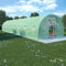 vidaXL Gewächshaus 36 m² Treibhaus Tomatenhaus Pflanzenhaus Frühbeet Garten