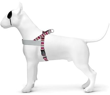 MORSO norskt porslin för hund återvunnet skyline röd/rosa