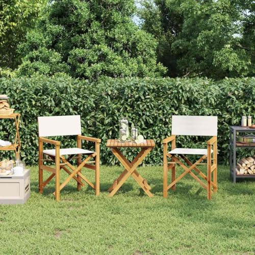 KTHLBRH Sedia da regista in legno di teak pieghevole per esterni, sedia da giardino e campeggio con braccioli, resistente alle intemperie e facile da riporre