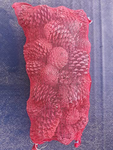 Piñas secas para encendido chimenea. Saco 50 litros.