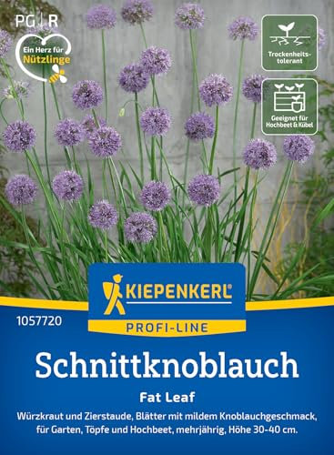 Kiepenkerl Profi-Line Schnittknoblauchsamen Fat Leaf 1057720 – Würzkraut- und Zierstaude mit Knoblauchgeschmack - Pflanzen Samen, Saatgut, Kräutersamen