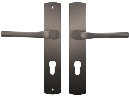 Bricard 8790T1 Paire de poignées Titane zamack sur plaque eVidence, porte d'entrée