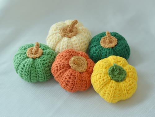 LOMTRATS - Juego de 5 minicalabazas Tejidas, decoración rústica otoñal, Calabazas Decorativas otoñales, Regalo conmovedor para Mujeres (Color Calabaza 5)