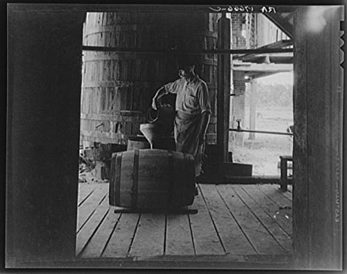 HistoricalFindings Photo: Turpentine Worker,Georgia,GA,Farm Security Administration,Dorothea Lange,FSA,6