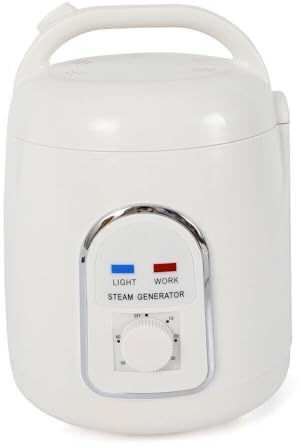 Ånggenerator 900 W bastuångkokare, ångbastu, ångbastu, ångmaskin, hudvård för kroppslapp hemma, SPA-dusch