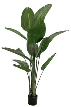 EUROPALMS Strelitzia, konstgjord växt, 170 cm