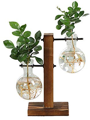 Stronrive Glas Pflanzgefäße Blumentopf, Hydroponik Hängevase für Wasserpflanze mit Retro Solid Ständer, Blumenvase Pflanze Terrarien Pflanzenbehälter