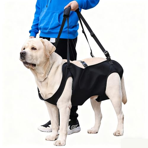 Imbracatura Cani Supporto, Imbracatura per Ascensori per Cani, Cinghie Imbottite Regolabili, Per Animali Domestici per Anziani,Disabili,Iesioni Articolari,Artrite,Nero (M)
