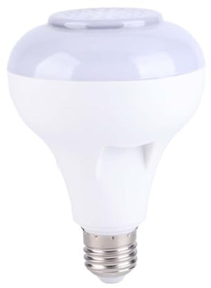 Raguso Intelligente LED Musikbirne E26/27 100 240 V AC Multicolor mit 24 Tasten Fernbedienung Farbwechsellampe für Home Bedroom Stage Party Club Bar Mehrfarbige Dekorationsbirnen