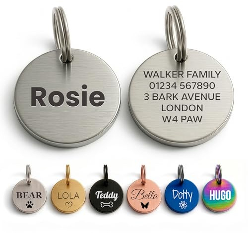 The Stately Hound Dog Tags for Pets Engraved UK, Silver Round, Large