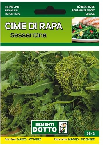 Sicignano | Semi Cime di Rapa Sessantina - Pianta Ciclo Medio-Precoce, Infiorescenze Grosse, Busta Extra - 4 Confezioni da 20g, Raccolta Estiva-Autunnale