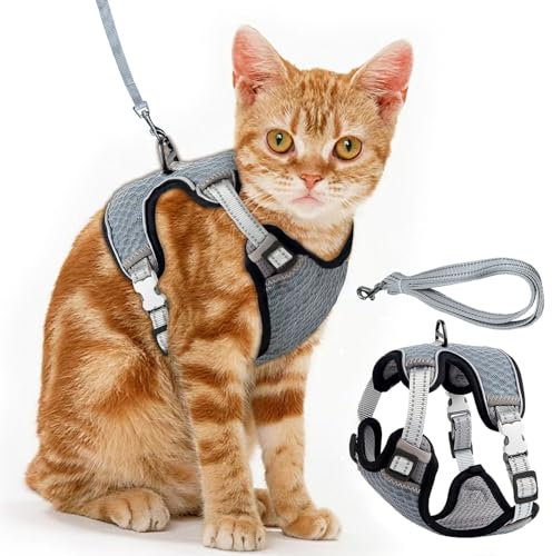 Brustgeschirr Cat, Verstellbares Katzengeschirr Ausbruchsicher Katzenleine Set, Verstellbar weich Kätzchenweste Katze Brustgeschirr mit Reflektierend Streifen & Atmungsaktiv Netzgewebe (Grau, S)