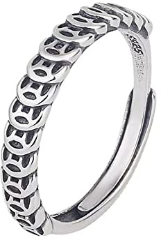 JUNTEN Feng Shui Coin Rings 925 Sterling Silver Lucky Wealth Money Ring Band for Men Women Retro Punk Rock Couple Ring