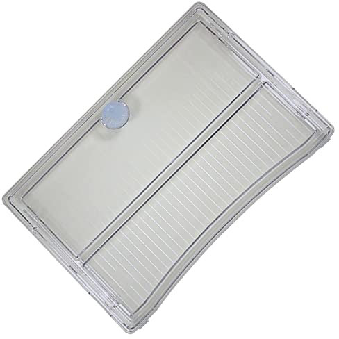 Abstellfach Gemüsefach Original 557X377 mm, Kühlschrank, Gefrierschrank, DA67-00490B Samsung Kühlschrank, Gefrierschrank DA67-00490B SAMSUNG
